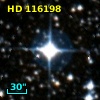 HD 116198