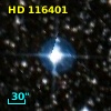 HD 116401
