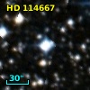 HD 114667