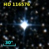 HD 116576