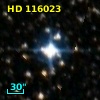 HD 116023