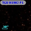 TGU H1902 P1