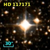 HD 117171