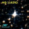 HD 116242