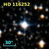 HD 116252