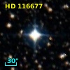 HD 116677