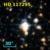 HD 117295