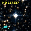 HD 117527