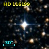 HD 116199