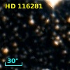 HD 116281
