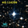 HD 116299