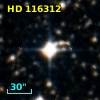 HD 116312