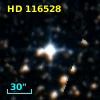HD 116528