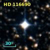 HD 116690