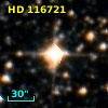 HD 116721