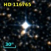 HD 116765