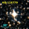 HD 116779