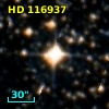 HD 116937