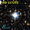 HD 117253