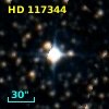 HD 117344