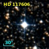 HD 117606