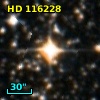 HD 116228