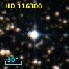 HD 116300