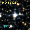 HD 117230