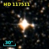 HD 117511