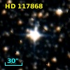 HD 117868