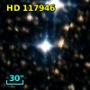 HD 117946