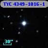 TYC 4349-1016-1