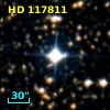 HD 117811