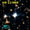 HD 117869
