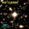 HD 118304