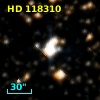 HD 118310