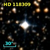 HD 118309