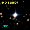 HD 118607