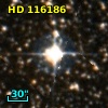 HD 116186