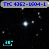 TYC 4362-1604-1