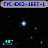 TYC 4362-1667-1