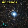 HD 116003