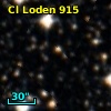 Cl Loden  915