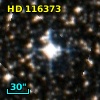 HD 116373