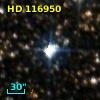 HD 116950
