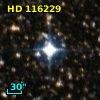 HD 116229