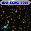 IRAS 13202-6008