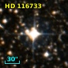 HD 116733