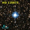 HD 116875