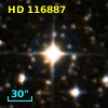 HD 116887
